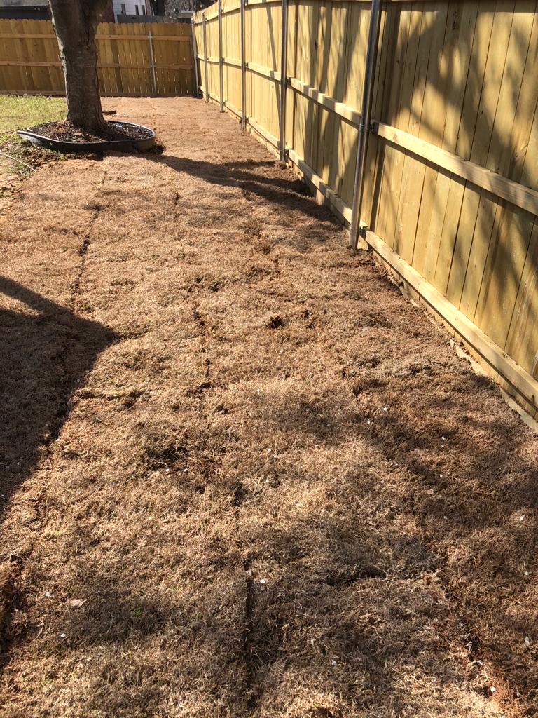 Katys Lawncare Image